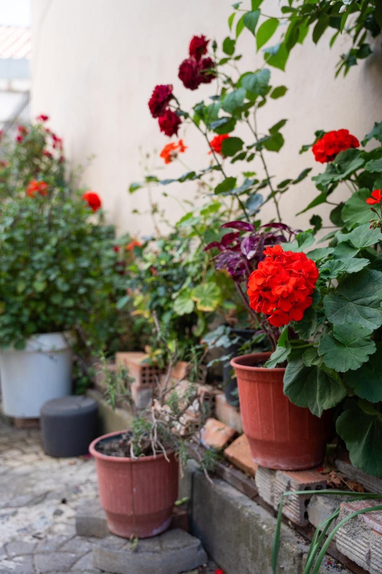 Nyx Guesthouse Trablus Dış mekan fotoğraf