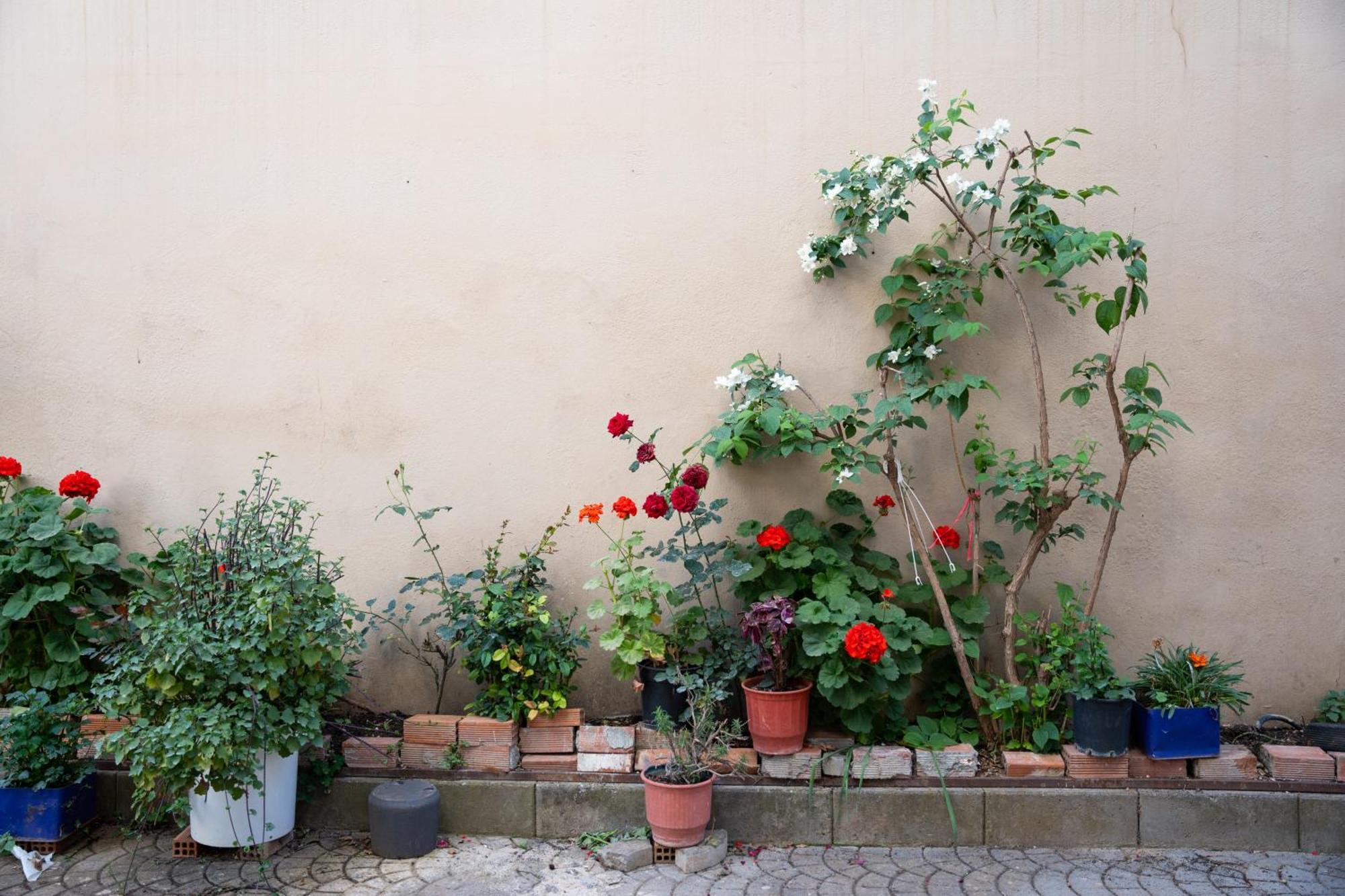 Nyx Guesthouse Trablus Dış mekan fotoğraf